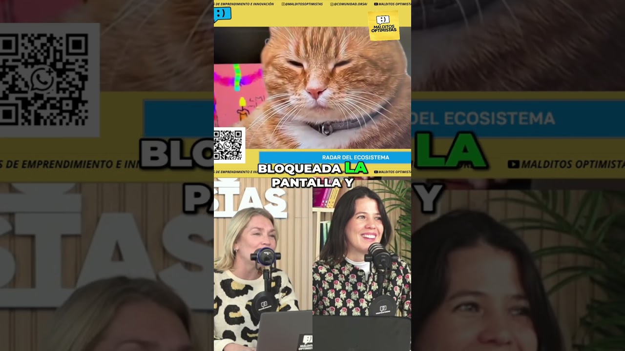Cat Gatekeeper: adicción a pantallas para todos — Malditos Optimistas